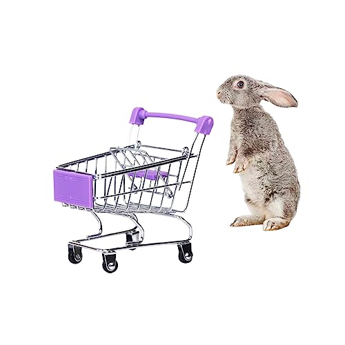 MANON ROSA Kaninchen Spielzeug Bunny Mini Einkaufswagen Kleintier Supermarkt Bollerwagen Igel Papagei Vogel Katzen Mäuse Niederländische Schweine Hamster Meerschweinchen Eidechse Chinchilla von MANON ROSA