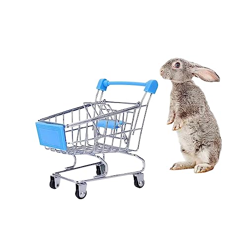 MANON ROSA Kaninchen Spielzeug Bunny Mini Einkaufswagen Kleintier Supermarkt Bollerwagen Igel Papagei Vogel Katzen Mäuse Niederländische Schweine Hamster Meerschweinchen Eidechse Chinchilla von MANON ROSA