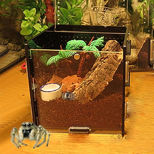 MANON ROSA Springende Spinne Gehege – Acryl Reptilien-Terrarium Box Kit mit Tropfflange, ökologischer Lebensraum, Dekor-Zubehör für Vogelspinnen, Skorpione, Käfer, Insekten, Mantisen (schwarz) von MANON ROSA