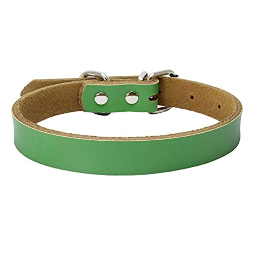 MARMODAY Hundehalsband, Leder, Metall, Hundehalsband, personalisierbar, robust und einzigartig von MARMODAY