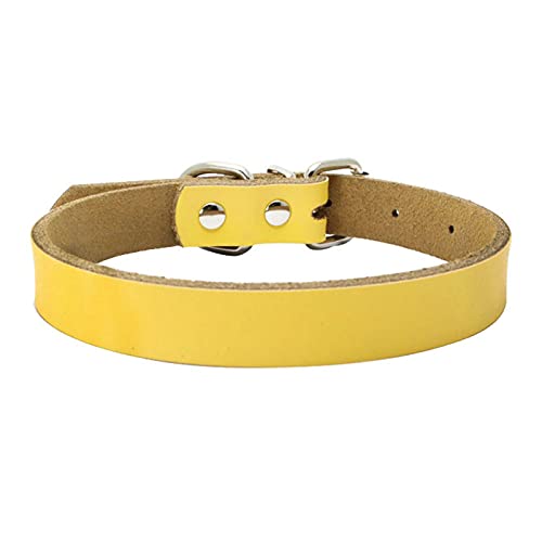 MARMODAY Hundehalsband, Leder, Metall, für kleine Hunde, personalisierbar, weich von MARMODAY