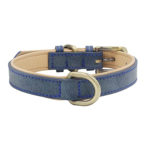 MARMODAY Hundehalsband, Leder, Mikrofaser, Zinklegierung, für kleine Hunde, bequemes Halsband, für Neugeborene, Haustier-Halsbänder, langlebig und schön von MARMODAY