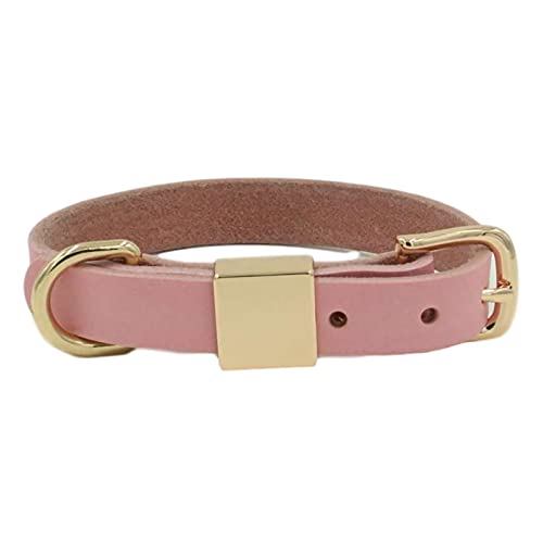 MARMODAY Hundehalsband aus Leder, Metall, gepolstert, für kleine Hunde und Katzen, personalisierbar, weich und stark von MARMODAY