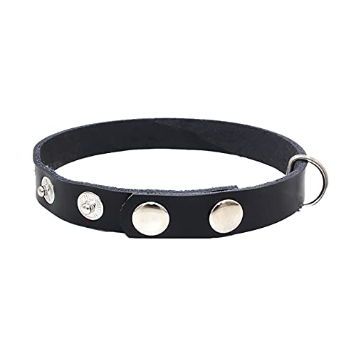 MARMODAY Metall Leder Halsbänder Hunde Basic Halsbänder Verstellbar Welpenhalsband Hundehalsband Kleine Hunde Robust und Stilvoll von MARMODAY