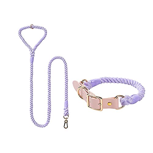 MARMODAY Set mit Leinen und Halsband für Haustiere, starke Baumwoll-Leine mit komfortablem Griff, 1 Set, 150 cm x 8 mm + L, Violett von MARMODAY