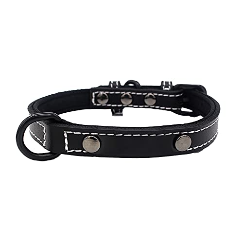 MARMODAY Welpenhalsband aus Leder für kleine Hunde Verstellbares Halsband Bequemes Halsband Bequeme Unterlage und Langlebig von MARMODAY