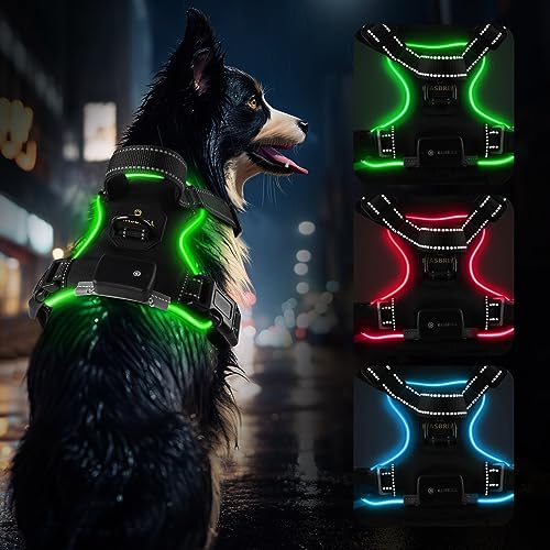 Hundegeschirr Leuchtend Aufladbar, LED Hundegeschirr Verstellbar Reflektierend mit Griff, Weich Gepolstert Beleuchtete Brustgeschirr für Kleine, Mittlere Große Hunde Leucht Geschirr(Grün S) von MASBRILL