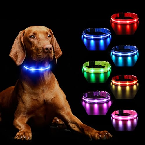 Hundehalsband Leuchtend Aufladbar, Leuchthalsband Hund 7 RGB Farbwechsel mit 8 Leuchtmodi, Verstellbare LED HundeHalsband Wasserdicht für Kleine Mittlere Große Hunde Leuchtendes Halsband, Blau M von MASBRILL