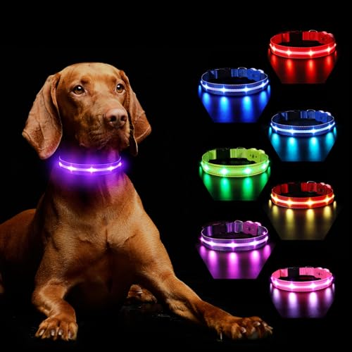 Hundehalsband Leuchtend Aufladbar, Leuchthalsband Hund 7 RGB Farbwechsel mit 8 Leuchtmodi, Verstellbare LED HundeHalsband Wasserdicht für Kleine Mittlere Große Hunde Leuchtendes Halsband, Lila L von MASBRILL