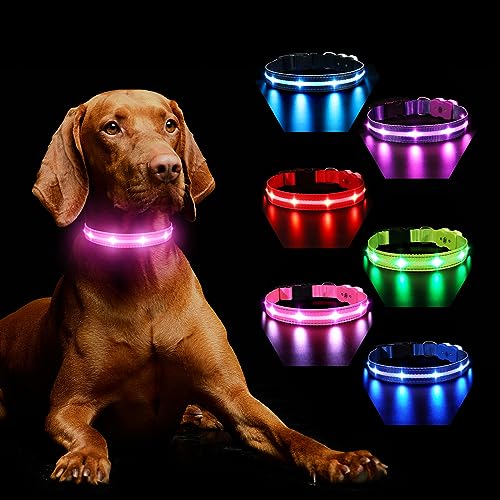 Hundehalsband Leuchtend Aufladbar, Leuchthalsband Hund 7 RGB Farbwechsel mit 8 Leuchtmodi, Verstellbare LED HundeHalsband Wasserdicht für Kleine Mittlere Große Hunde Leuchtendes Halsband, Rosa L von MASBRILL