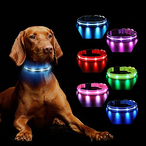 Hundehalsband Leuchtend Aufladbar, Leuchthalsband Hund 7 RGB Farbwechsel mit 8 Leuchtmodi, Verstellbare LED HundeHalsband Wasserdicht für Kleine Mittlere Große Hunde Leuchtendes Halsband, Schwarz L von MASBRILL