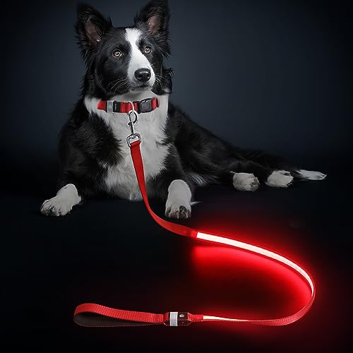 LED Hundeleine, Leuchtend Hundeleine für Kleine, Mittel Große Hunde, Wiederaufladbar & Wasserdicht, 3 Beleuchtungsmodi 5 Farben Erhältlich, Glühen im Dunkeln für Sicherheit Nachtwandern (Rot) von MASBRILL