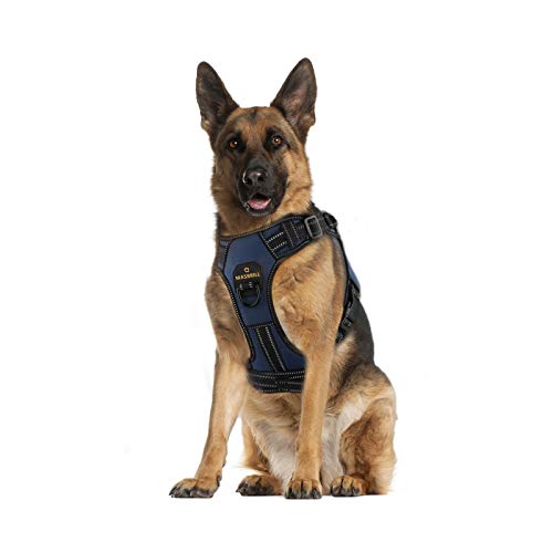 MASBRILL Hundegeschirr Grosse Hunde, Anti Zug Geschirr Hunde Brustgeschirre Einstellbar und Reflektierend, Weich Atmungsaktiv Gepolstert Hundegeschirr mit Grifff für Walken(Blau XL) von MASBRILL