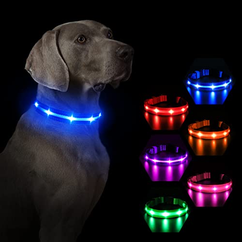 MASBRILL Leuchthalsband Hund, Hundehalsband Leuchtend Aufladbar, LED Halsband für Kleine Mittlere Große Hunde, Einstellbare Wasserdicht mit 3 Beleuchtungsmodi für Nachtspaziergänge(Blau L) von MASBRILL