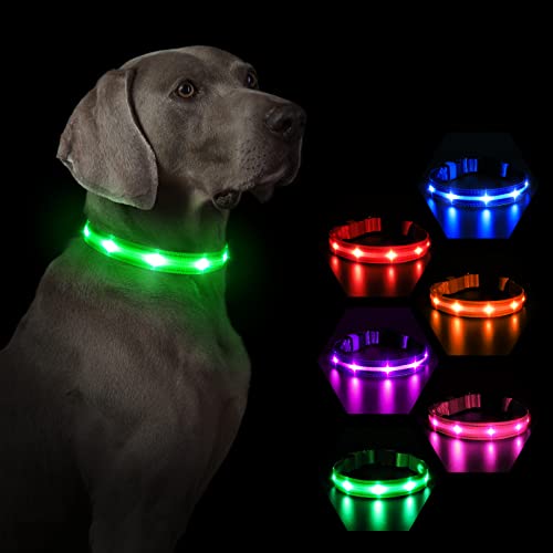 MASBRILL Leuchthalsband Hund, Hundehalsband Leuchtend Aufladbar, LED Halsband für Kleine Mittlere Große Hunde, Einstellbare Wasserdicht mit 3 Beleuchtungsmodi für Nachtspaziergänge(Grün L) von MASBRILL