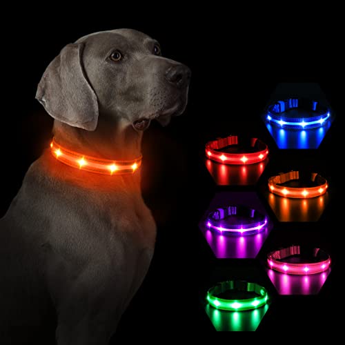 MASBRILL Leuchthalsband Hund, Hundehalsband Leuchtend Aufladbar, LED Halsband für Kleine Mittlere Große Hunde, Einstellbare Wasserdicht mit 3 Beleuchtungsmodi für Nachtspaziergänge(Orange L) von MASBRILL