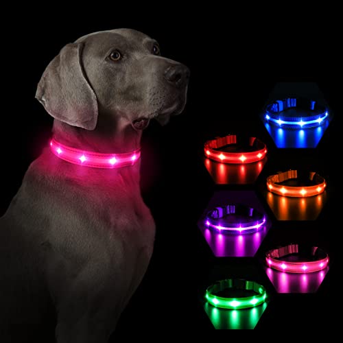 MASBRILL Leuchthalsband Hund, Hundehalsband Leuchtend Aufladbar, LED Halsband für Kleine Mittlere Große Hunde, Einstellbare Wasserdicht mit 3 Beleuchtungsmodi für Nachtspaziergänge(Rosa M) von MASBRILL