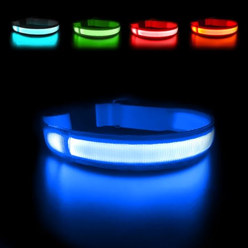 MASBRILL Leuchthalsband Hund, Hundehalsband Leuchtend Aufladbar USB-C, LED Halsband für Hunde Einstellbare Wasserdicht, Halsband Hund Leuchtend 3 Lichtmodi für Kleine Mittlere Große Hunde(Blau L) von MASBRILL