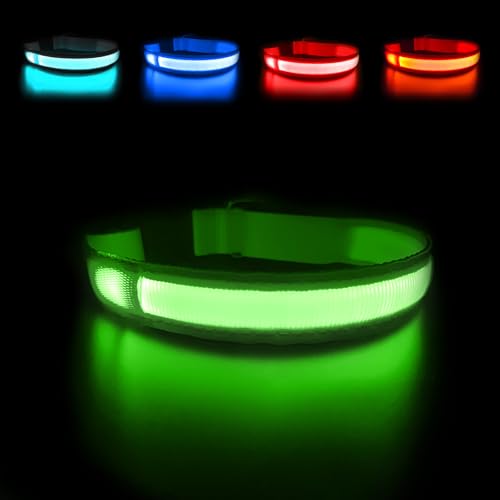 MASBRILL Leuchthalsband Hund, Hundehalsband Leuchtend Aufladbar USB-C, LED Halsband für Hunde Einstellbare Wasserdicht, Halsband Hund Leuchtend 3 Lichtmodi für Kleine Mittlere Große Hunde(Grün L) von MASBRILL