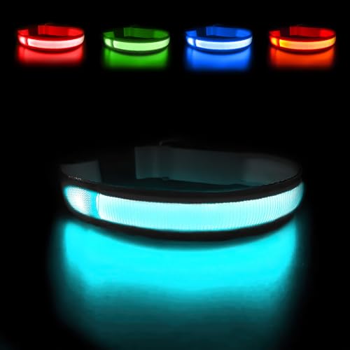 MASBRILL Leuchthalsband Hund, Hundehalsband Leuchtend Aufladbar USB-C, LED Halsband für Hunde Einstellbare Wasserdicht, Halsband Hund Leuchtend 3 Lichtmodi für Kleine Mittlere Große Hunde(Schwarz M) von MASBRILL