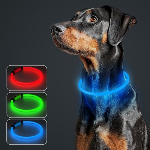 MASBRILL Leuchthalsband Hund Aufladbar, Hundehalsband Leuchtend Wasserdicht mit 3 Beleuchtungsmodi, Einstellbare Länge LED Halsband für Kleine, Mittlere und Große Hunde(Blau) von MASBRILL