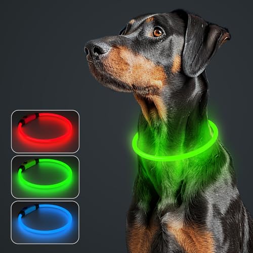 MASBRILL Leuchthalsband Hund Aufladbar, Hundehalsband Leuchtend Wasserdicht mit 3 Beleuchtungsmodi, Einstellbare Länge LED Halsband für Kleine, Mittlere und Große Hunde(Grün) von MASBRILL