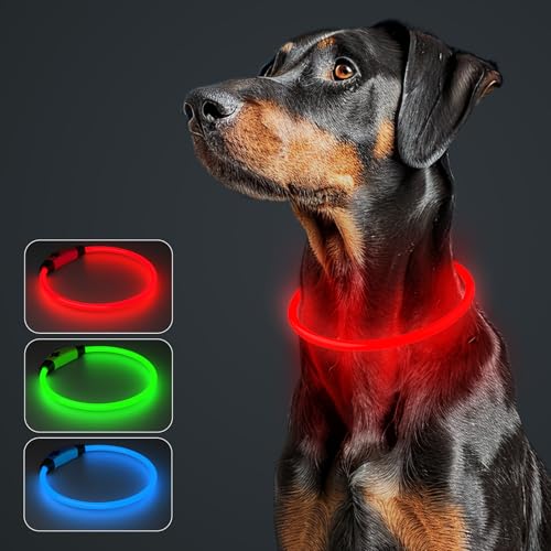 MASBRILL Leuchthalsband Hund Aufladbar, Hundehalsband Leuchtend Wasserdicht mit 3 Beleuchtungsmodi, Einstellbare Länge LED Halsband für Kleine, Mittlere und Große Hunde(Rot) von MASBRILL