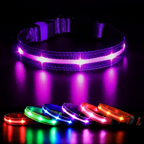 MASBRILL Leuchthalsband Hunde Aufladbar, LED Hundehalsband Leuchtend 3 Blinkende Lichter Wasserdicht Einstellbare Beleuchtetes Sicherheit Halsband für Klein Mittlere Große Hunde, Lila M von MASBRILL