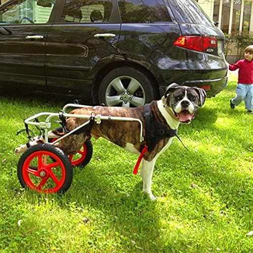 Hunderollstuhl, Hundemobilitätsgeschirr, ältere Menschen mit Behinderung, Arthritis, Haustier-Hinterbein-Rehabilitations-Hunderollstuhl (L, XL) von MAVERYGFF