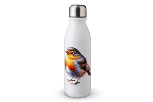 MAXIKIWI - Einwandige Wasserflasche mit Schraubverschluss, nicht isoliert, leichtes Aluminium, BPA-frei, auslaufsicher, Aquarell-Motiv Frühlingsvögel, 2–500 ml von MAXIKIWI