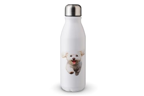 MAXIKIWI - Einwandige Wasserflasche mit Schraubverschluss, nicht isoliert, leichtes Aluminium, BPA-frei, auslaufsicher, Happy Dog Running - 500 ml MAXIKIWI - Einwandige Wasserflasche mit Schraubverschluss, nicht isoliert, leichtes Aluminium, BPA-frei, auslaufsicher, Happy Dog Running - 500 ml von MAXIKIWI