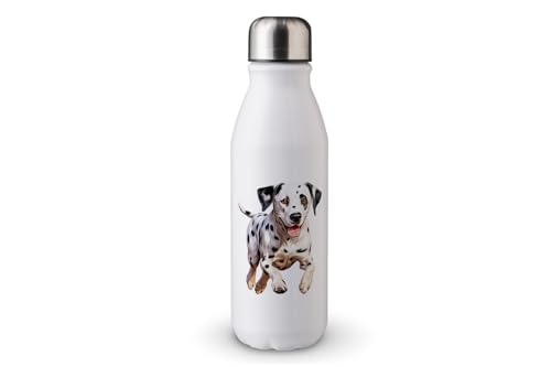 MAXIKIWI - Einwandige Wasserflasche mit Schraubverschluss, nicht isoliert, leichtes Aluminium, BPA-frei, auslaufsicher, Happy Dog Running - 500 ml von MAXIKIWI