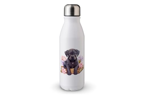 MAXIKIWI - Einwandige Wasserflasche mit Schraubverschluss, nicht isoliert, leichtes Aluminium, BPA-frei, auslaufsicher, Kawaii Dogs Book Hoarder - 500 ml von MAXIKIWI