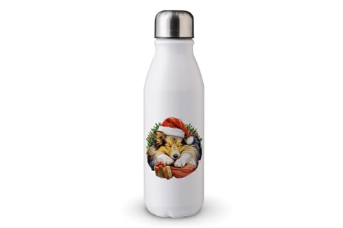 MAXIKIWI - Einwandige Wasserflasche mit Schraubverschluss, nicht isoliert, leichtes Aluminium, BPA-frei, auslaufsicher, Lazy Dog At Christmas Graphics, 500 ml von MAXIKIWI