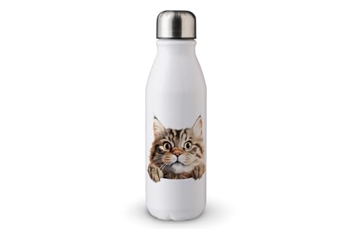 MAXIKIWI - Einwandige Wasserflasche mit Schraubverschluss, nicht isoliert, leichtes Aluminium, BPA-frei, auslaufsicher, Peeking Cat Part - 500ml von MAXIKIWI