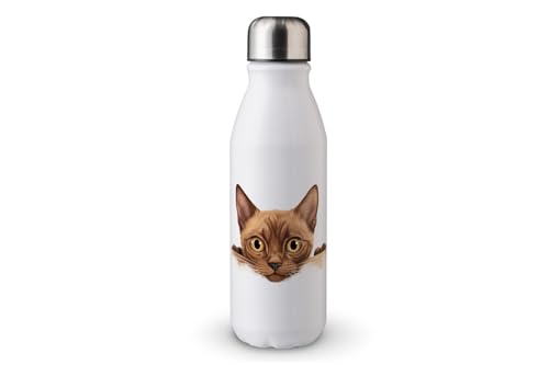 MAXIKIWI - Einwandige Wasserflasche mit Schraubverschluss, nicht isoliert, leichtes Aluminium, BPA-frei, auslaufsicher, Peeking Cat Part - 500ml von MAXIKIWI