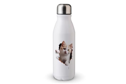 MAXIKIWI - Einwandige Wasserflasche mit Schraubverschluss, nicht isoliert, leichtes Aluminium, BPA-frei, auslaufsicher, Peeking Cats - 500ml von MAXIKIWI