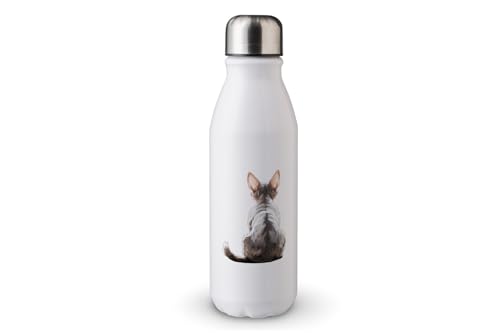 MAXIKIWI - Einwandige Wasserflasche mit Schraubverschluss, nicht isoliert, leichtes Aluminium, BPA-frei, auslaufsicher, Rückansicht Katzen-Motiv, 500 ml von MAXIKIWI