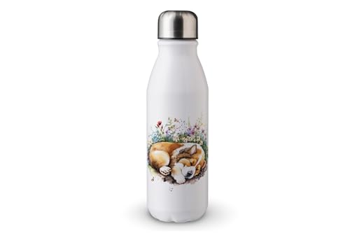 MAXIKIWI - Einwandige Wasserflasche mit Schraubverschluss, nicht isoliert, leichtes Aluminium, BPA-frei, auslaufsicher, Wasserfarbe für faule Hunde, 500 ml von MAXIKIWI