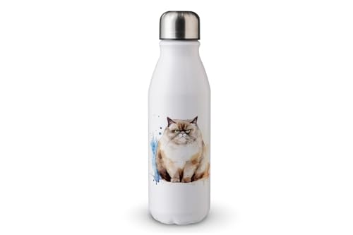 MAXIKIWI - Einwandige Wasserflasche mit Schraubverschluss, nicht isoliert, leichtes Aluminium, BPA-frei, auslaufsicher, lustig, mürrische Cartoon-Katze, 500 ml von MAXIKIWI