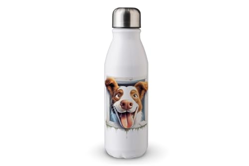 MAXIKIWI - Einwandige Wasserflasche mit Schraubverschluss, nicht isoliert, leichtes Aluminium, BPA-frei, auslaufsicher, lustiger Hund außerhalb des Fensters, 500 ml von MAXIKIWI