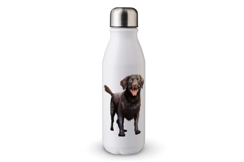 MAXIKIWI - Einwandige Wasserflasche mit Schraubverschluss, nicht isoliert, leichtes Aluminium, BPA-frei, auslaufsicher, süßer Hund, 500 ml von MAXIKIWI