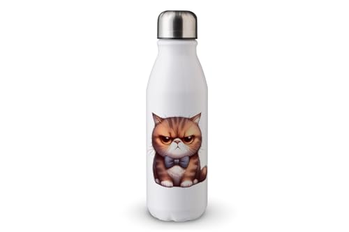 MAXIKIWI - Einwandige Wasserflasche mit Schraubverschluss, nicht isoliert, leichtes Aluminium, BPA-frei, auslaufsicher, süßes mürrisches Katzenmotiv, 2-500 ml von MAXIKIWI