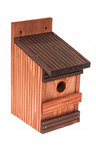 MAZUR Vogelfutterhaus aus Holz | 13x11x25cm | Nistkasten | Vogelfutterspender | Vogelfutterstation | Vogelhaus | Vogelhäuschen | Wetterfest | Kleinvögel, Gartenvögel, Singvögel, Wildvögel von MAZUR