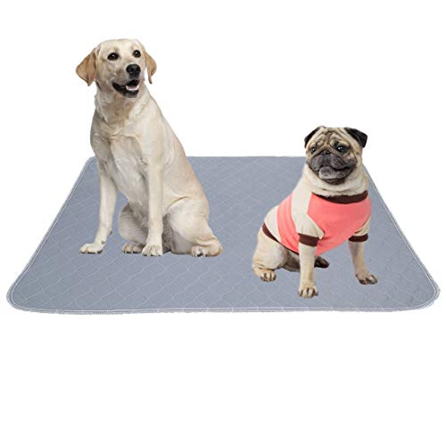 MBJERRY Waschbar Erziehungsunterlage für Hunde wiederverwendbar Puppy Pee Pad wasserdichte Whelping Unterlage Mat Absorbierend Welpenmatte mit Rutschfester Unterseite(L: 86 * 91 cm) von MBJERRY