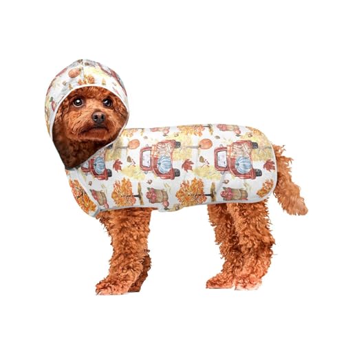 MCHIVER Herbst Thanksgiving Red Truck Hund Badetuch Robe mit Kapuze Schnell trocknend Haustier Bademäntel Verstellbare Hund Trocknen Mäntel Handtücher Wraps für Pool Strand Schwimmen Baden 60 x 65 cm von MCHIVER