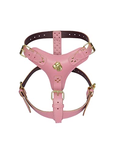 Hundegeschirr, extra groß, strapazierfähig, Leder, mit einzigartigem goldfarbenem Stock-Corso-Kopf-Motiv und goldfarbenen Beschlägen, Rosa von MD Gear