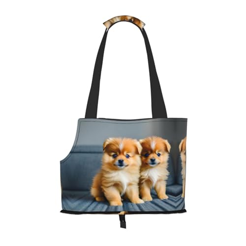 Pomeranians Welpen und Point Print Haustier Tragbare Umhängetasche Faltbare Haustiertasche 13,4 x 6,1 x 10,2 Zoll für U-Bahn/Einkaufen/Wandern von MDATT