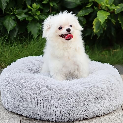 MDDK DY Katzenbett Hundebett Flauschig，Hundekissen Waschbar Hundekorb, Hundekörbchen 60 cm Rund, Hundesofa Plüsch rutschfeste Unterseite，Hundebett Kleine Mittelgroße Grosse Hunde Katzen Grau von MDDK DY