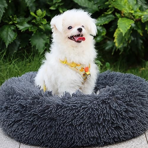 MDDK DY Hundebett Katzenbett Flauschig,Hundekorb,Waschbar Hundekissen 70 cm, Hundekörbchen Rund aus Plüsch Hundesofa Katzenkorb, Hundebett für Kleine, Mittel Große Grosse Hunde Katzen, Dunkelgrau von MDDK DY